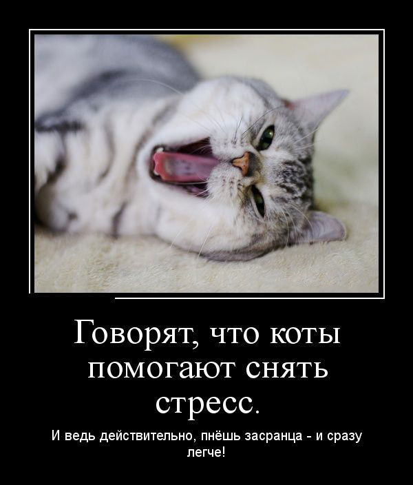 ,     .   ,   -   ! 