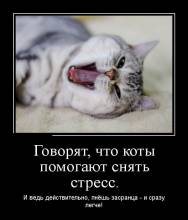 ,     .   ,   -   ! 