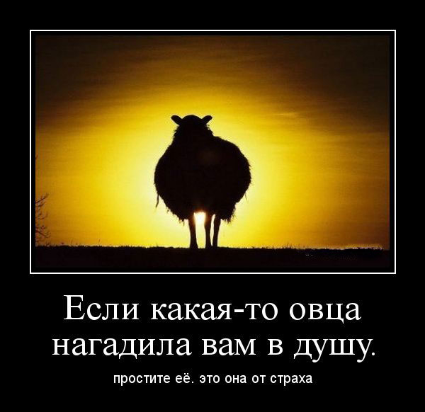  -     .  .    
