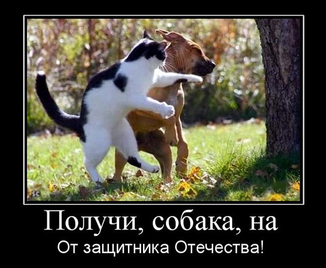 , , .   ! 
