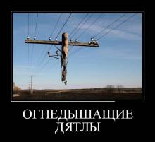 Огнедышащие дятлы 