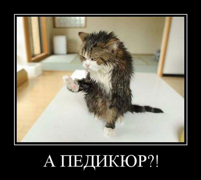А педикюр?! 