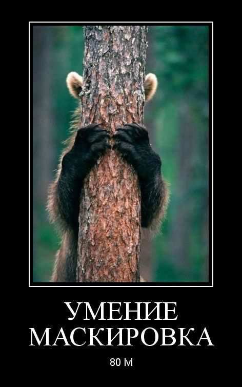   80 lvl 