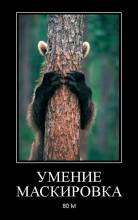  80 lvl 