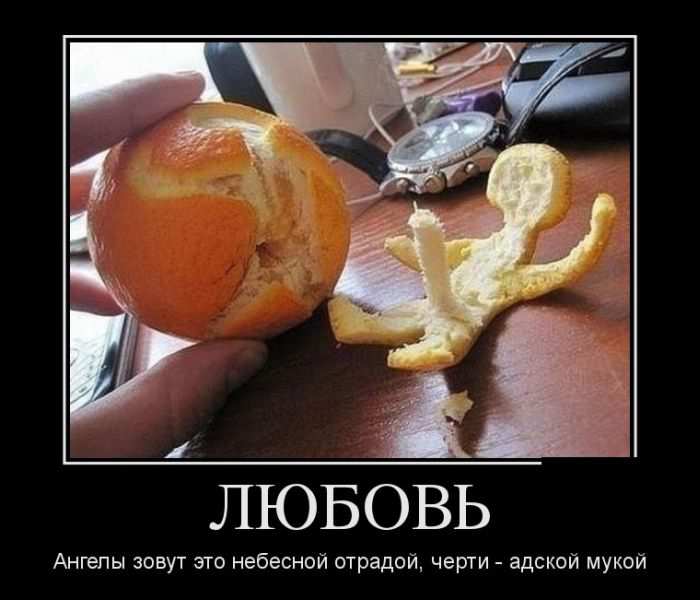 .     ,  -   