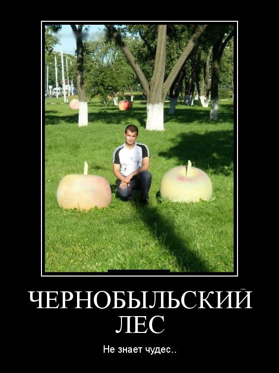  .   ..