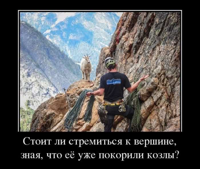     , ,     ?
