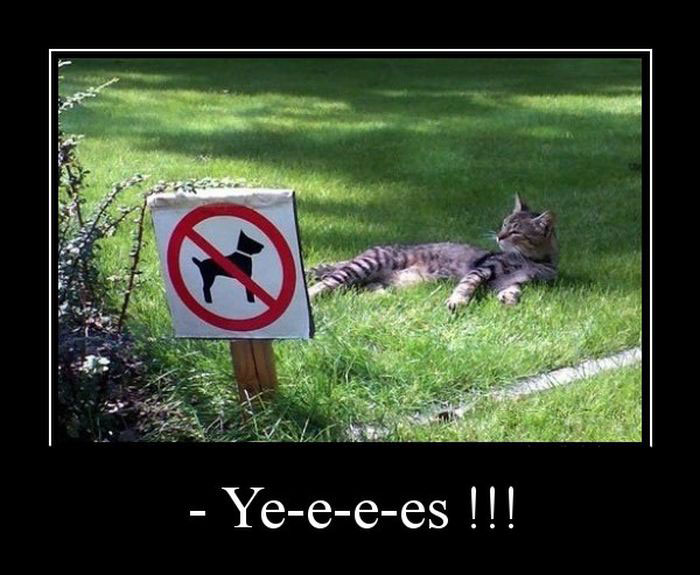 Ye-e-e-es!!! 