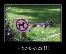 Ye-e-e-es!!! 