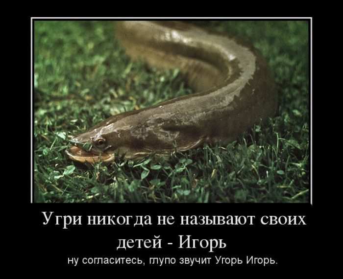       - .  ,    .