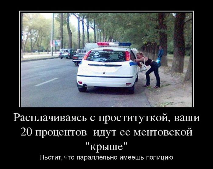   ,  20     . ,    