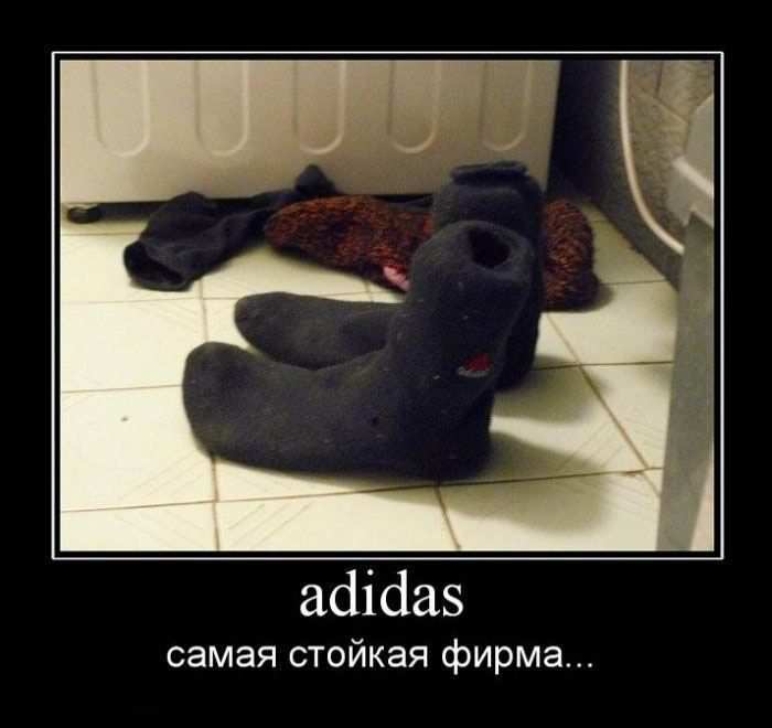 didas.   ... 