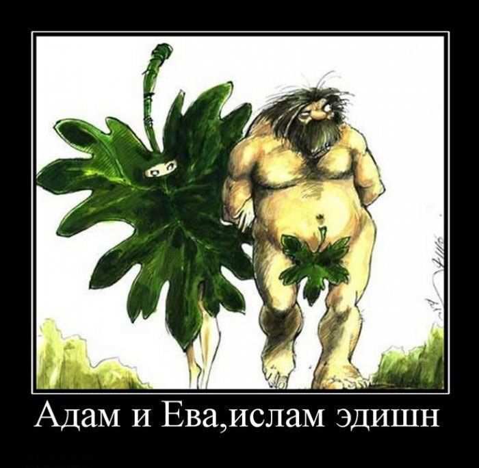   ,   