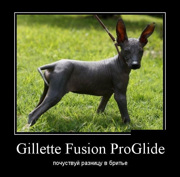 Gillette Fusion ProGlide.     
