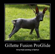 Gillette Fusion ProGlide.     