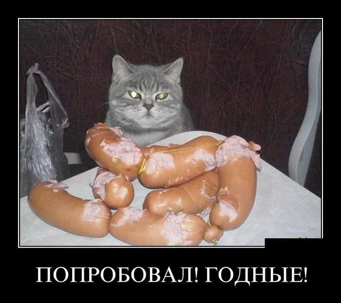 , ! 