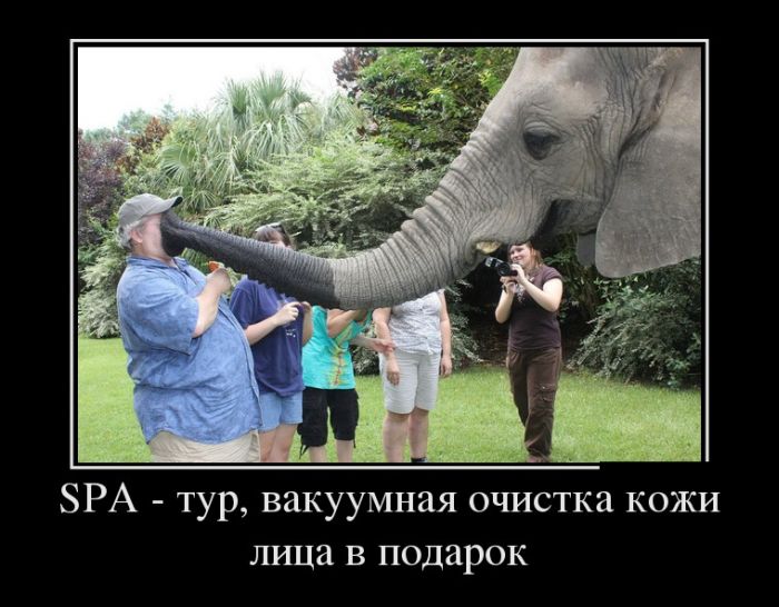 SPA - тур, вакуумная очистка кожи лица в подарок
