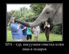 SPA - ,      