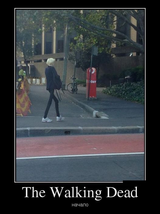 The Walking Dead.  