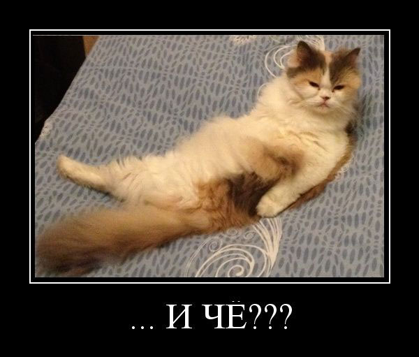 ...  ???