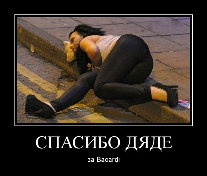    Bacardi 