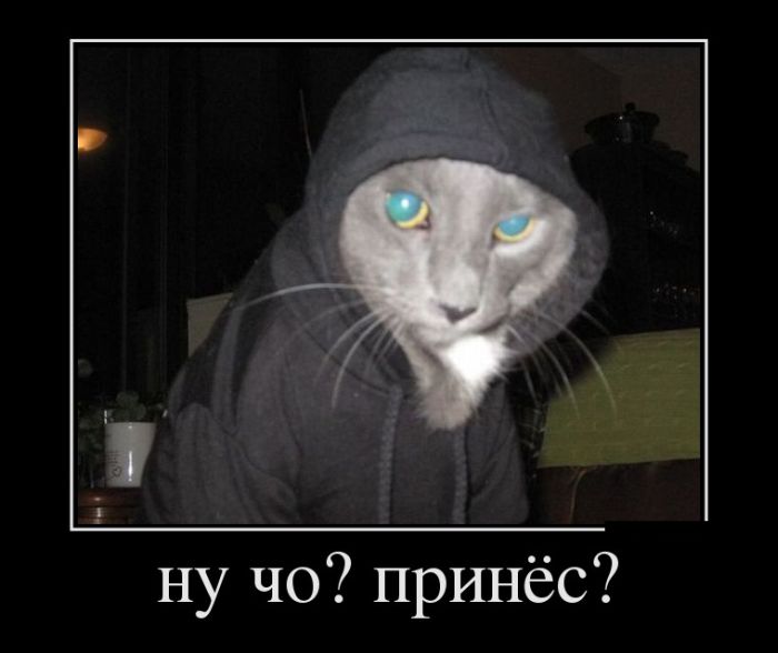  ? ? 