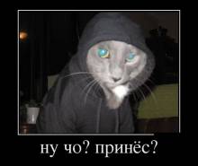  ? ? 