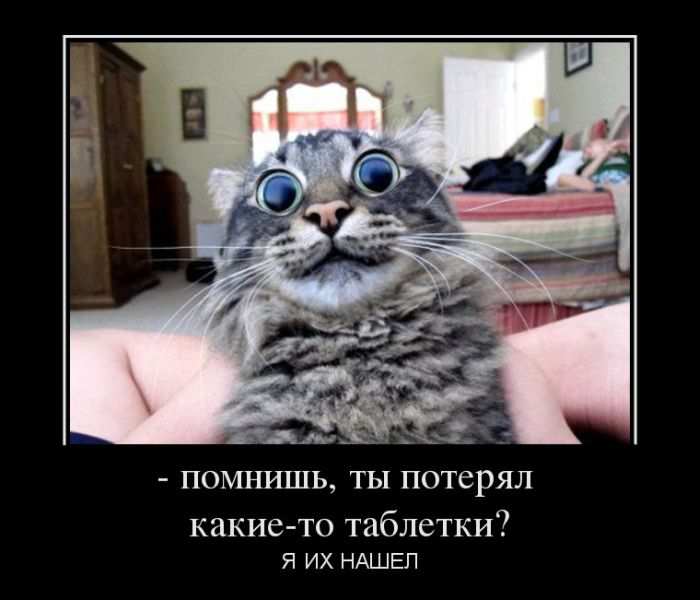 ,   - ?    