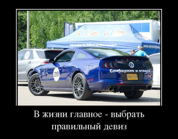 В жизни главное - выбрать правильный девиз 