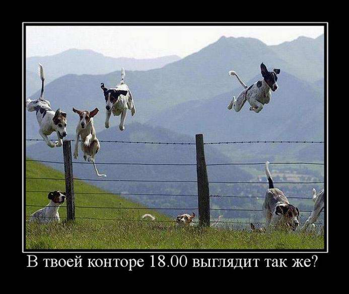    18.00   ? 