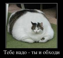   -    