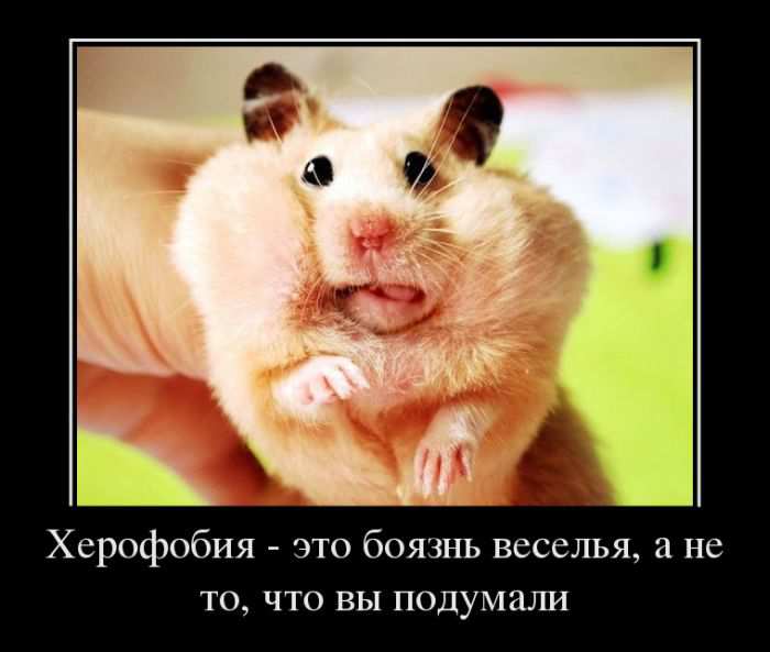  -   ,   ,    