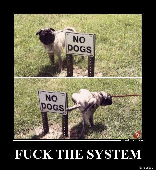 Fuck the system