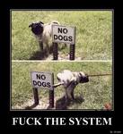 Fuck the system