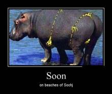 Soon on beaches of Sochj 