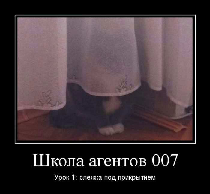   007.  1:    