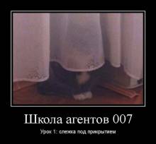   007.  1:    