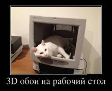 3D     