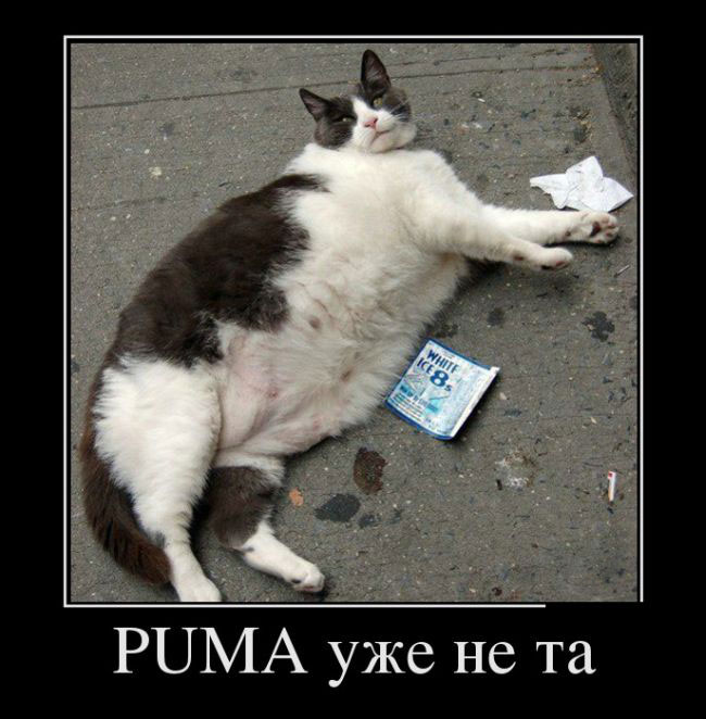 PUMA    