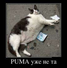 PUMA    