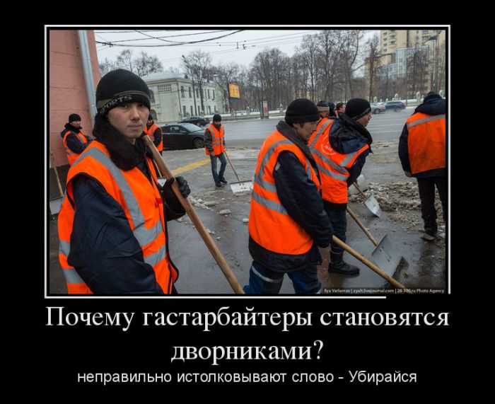 Почему гастарбайтеры становятся дворниками? Неправильно истолковывают слово - убирайся 