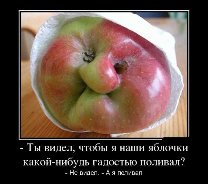 ,     -  ? -  . -   