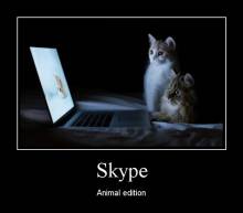 Skype. Animal edition 