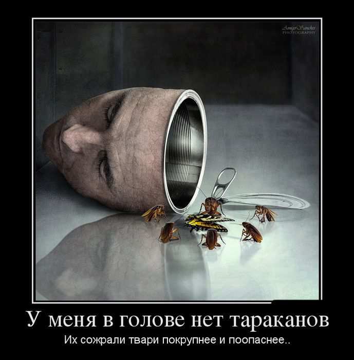      .      .. 