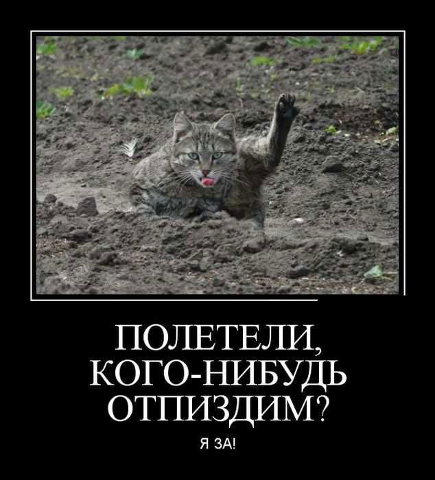 , - ?  !