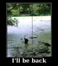 I ll be back