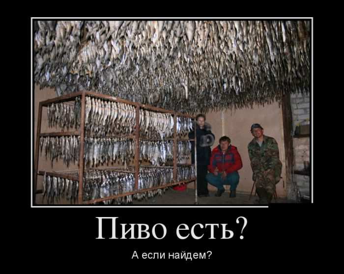  ?   ? 
