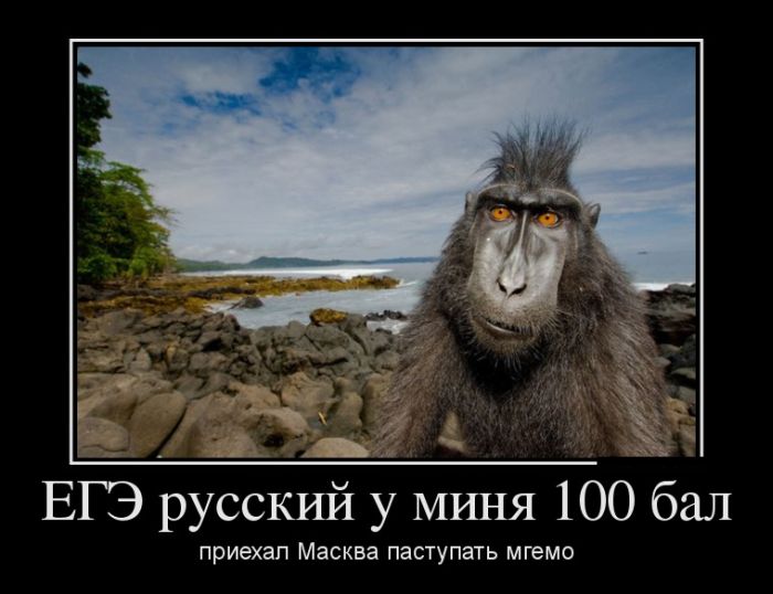     100 .    