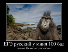     100 .    