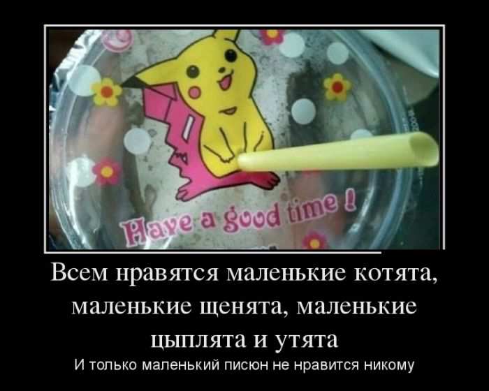    ,  ,    .        